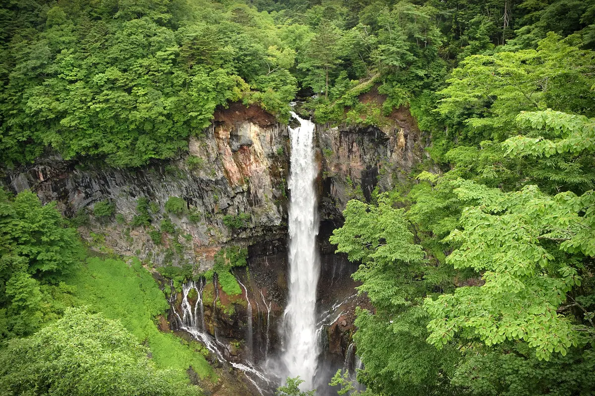 Les cascades de Kegon cauen des d'un penya-segat de basalt cap a una gorja, emmarcades per un bosc verd d'estiu